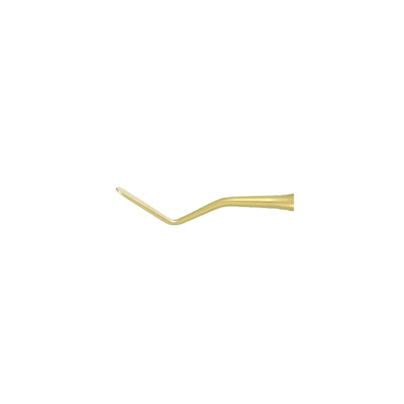 Nr. 22 - TiN coated, paddle-acorn, Nr. REPFI22T